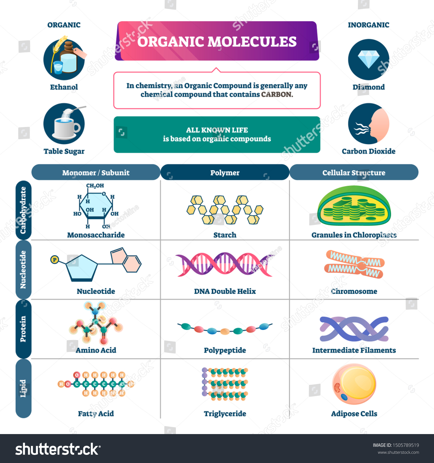 structure-of-organic-molecules-ucla-continuing-education