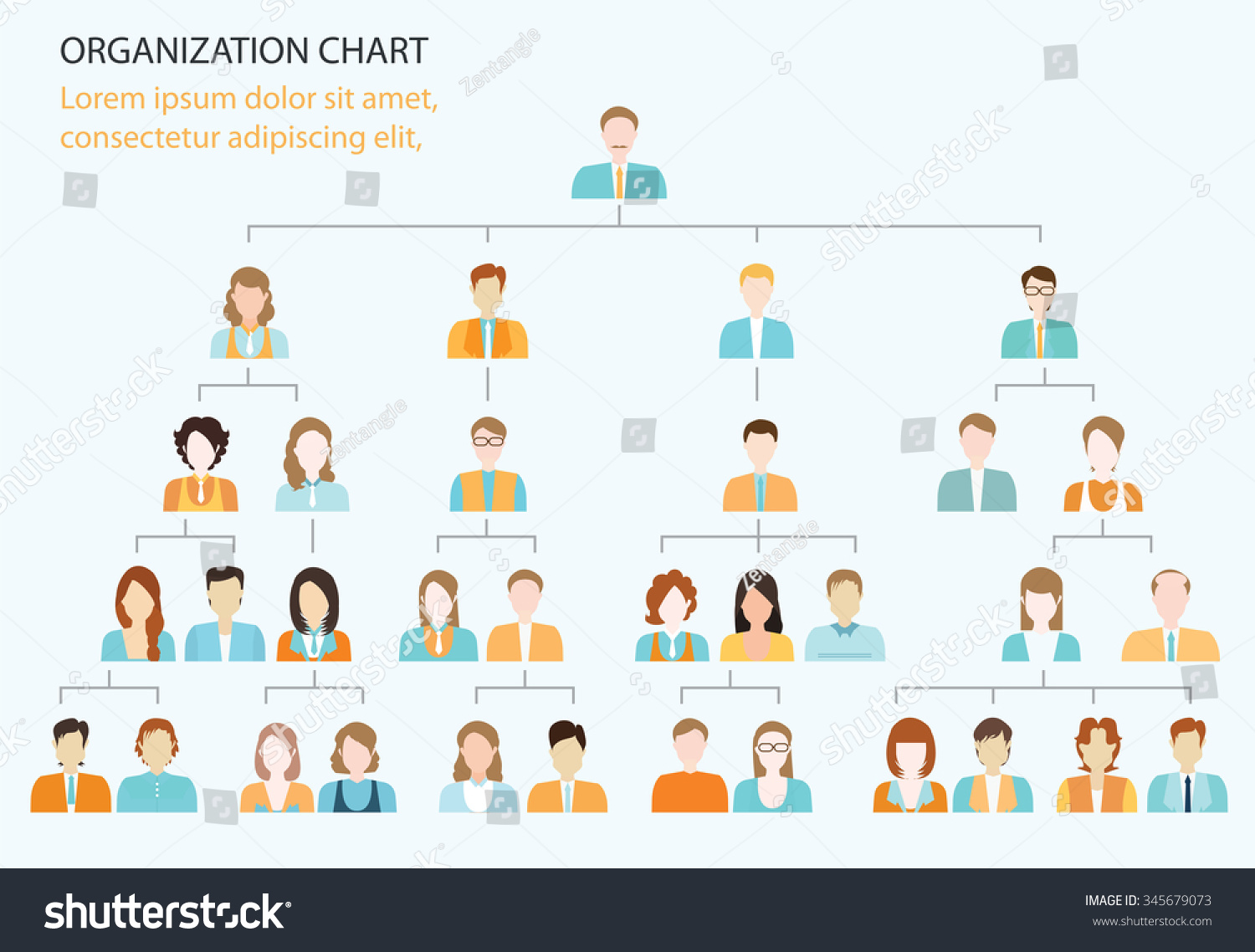 Organizational Chart Corporate Business Hierarchy People Stock Vector ...