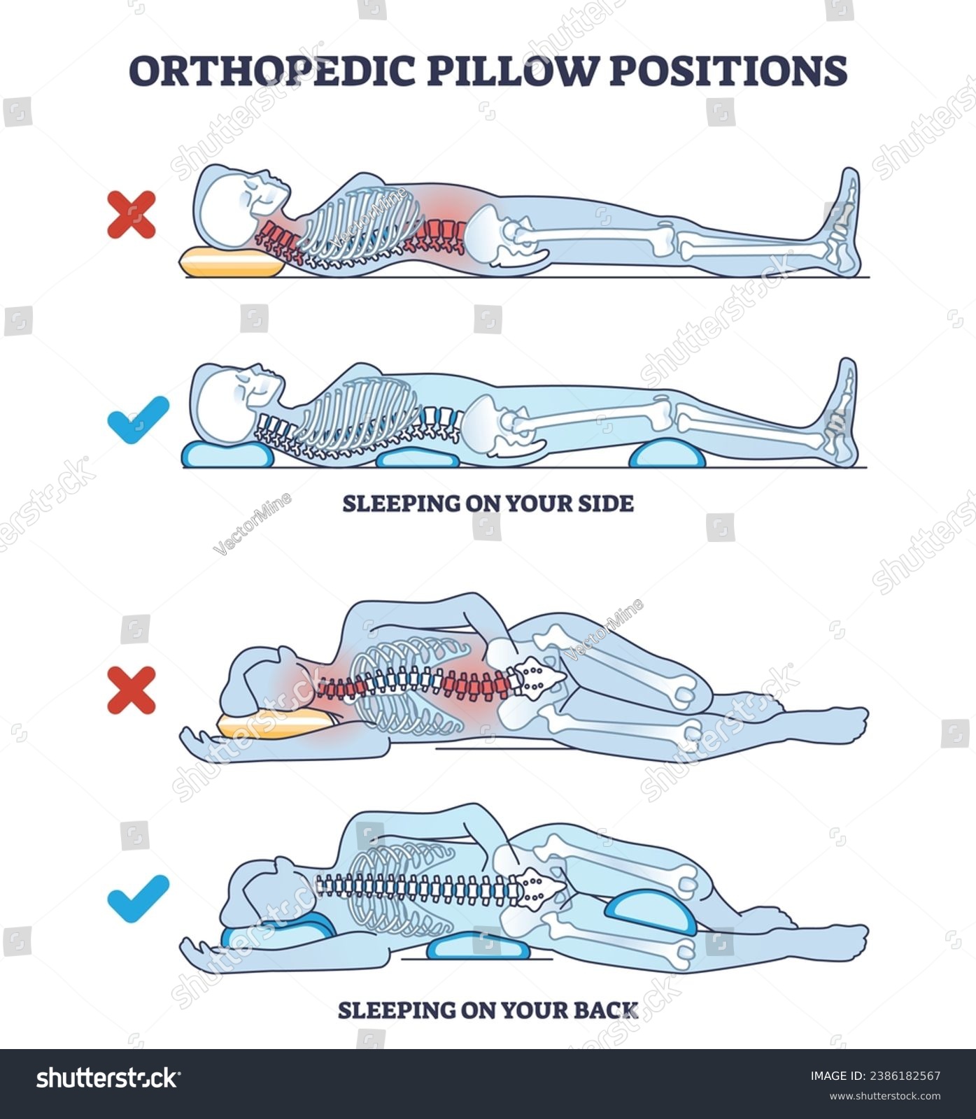 SVG of Orthopedic pillow positions with sleeping on side and back outline diagram. Labeled educational poses with good, correct and healthy example comparison to wrong vector illustration. Curved backbone. svg