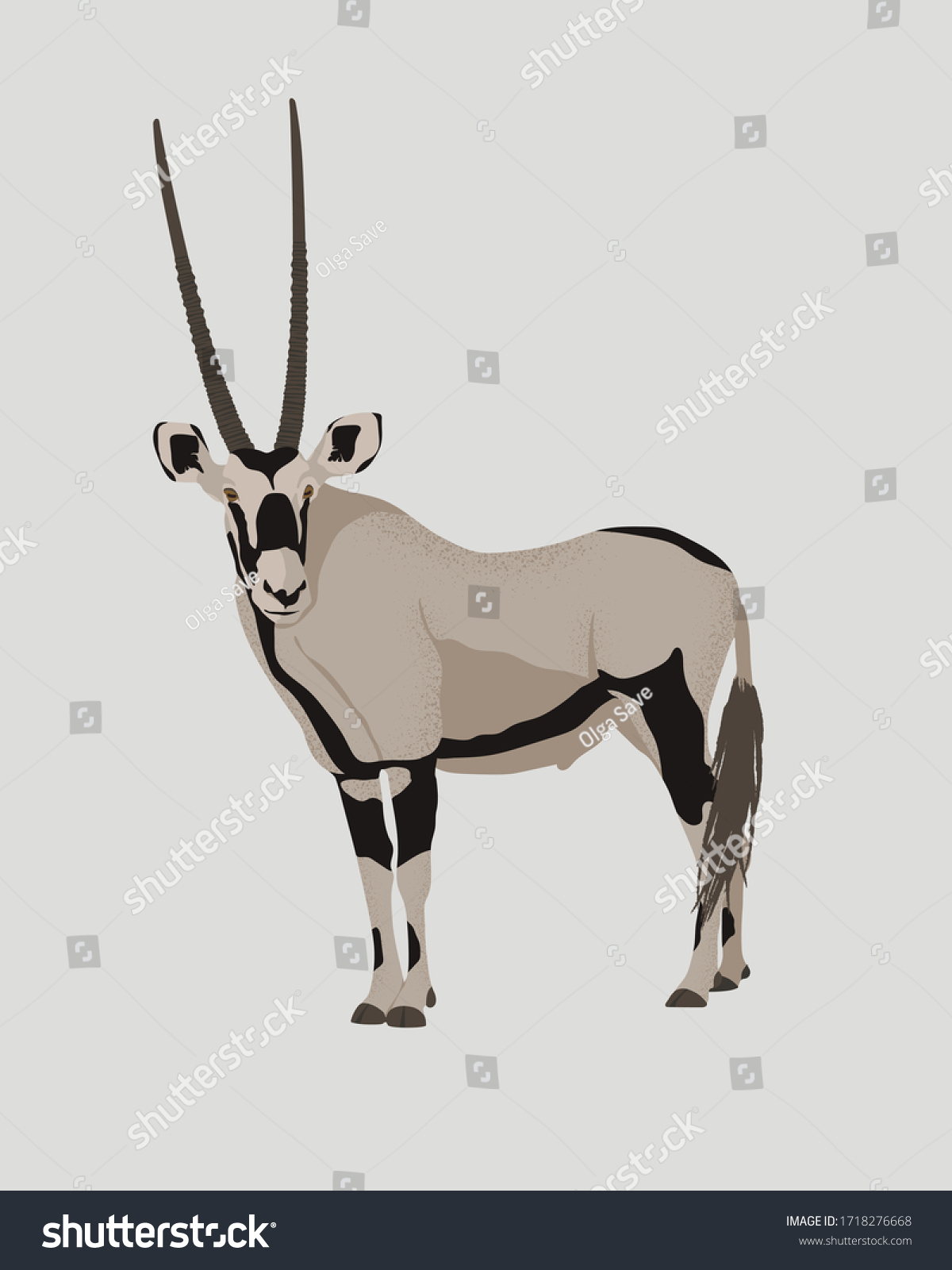 4,677 Oryx gazelle Images, Stock Photos & Vectors | Shutterstock