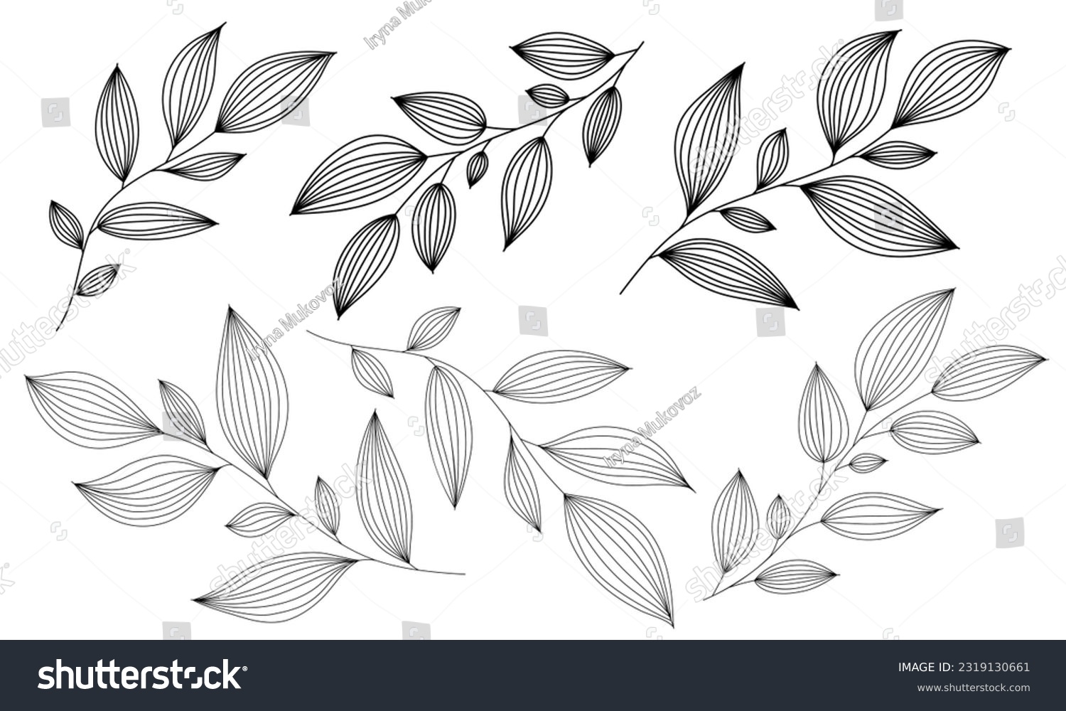 SVG of Outline branches with leaves. Contour thin leaf. Botanical set of hand drawn design elements svg