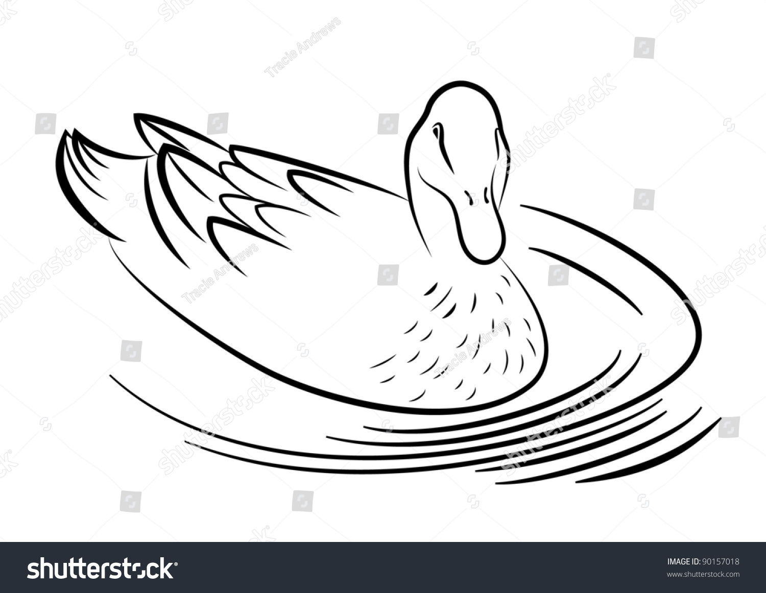 Outline Drawing Duck Isolated On White Stock Vector 90157018 - Shutterstock