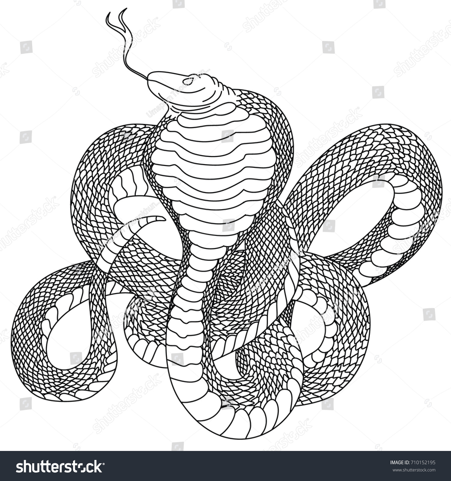 Outline Snake Vector Hand Drawn Cobra Stock Vector (Royalty Free ...