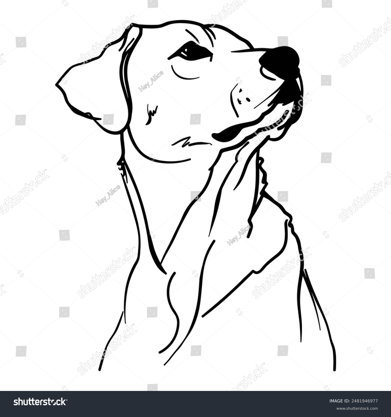 recommend clip art: Outline portrait of labrador. Hand drawn dog vector illustration in black color isolated on white background. Line art. Engraved style.