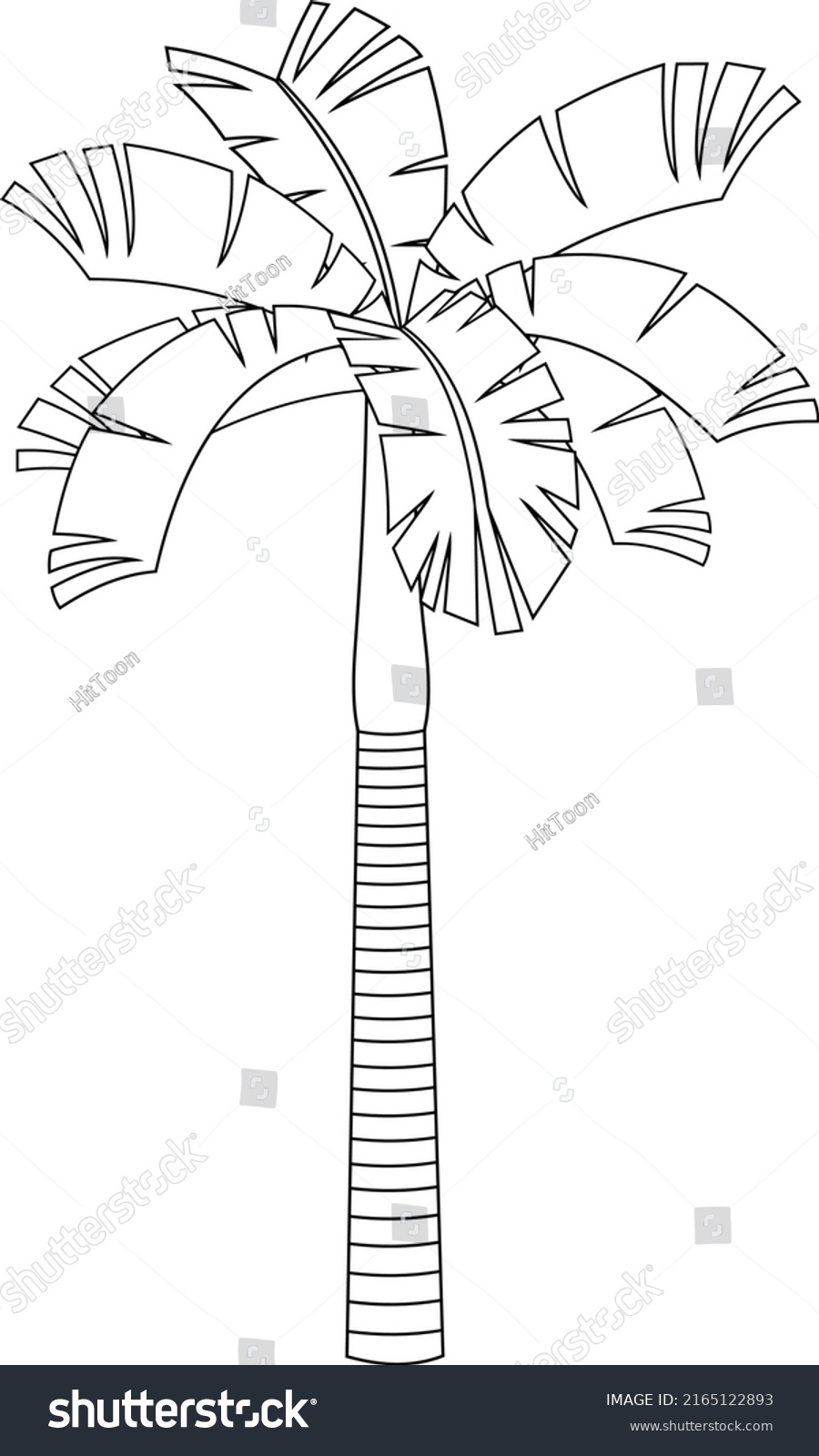 Outlined Cartoon Tropical Palm Tree Crown Stock Vector (Royalty Free ...