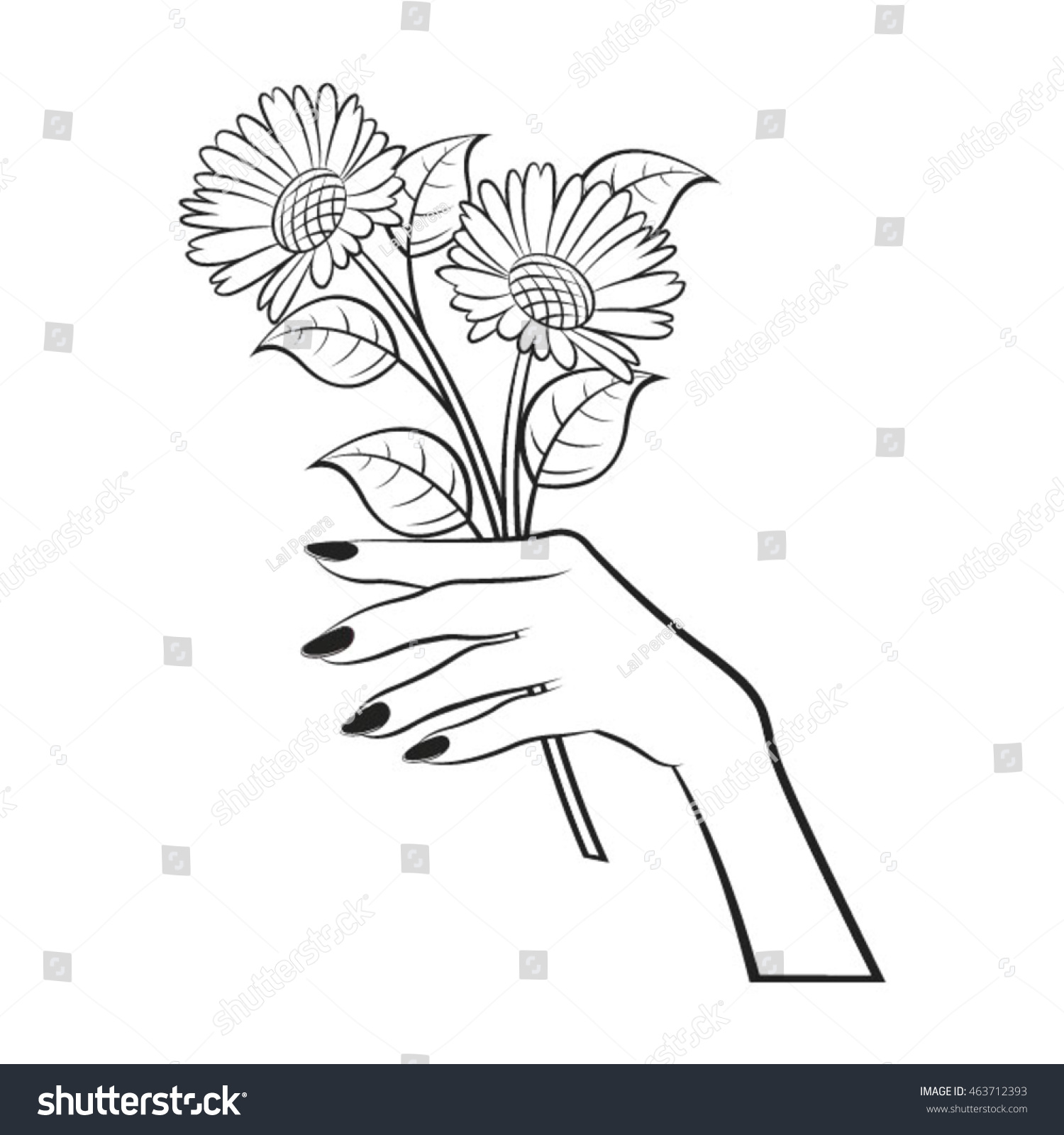 Outlined Female Hand Holding Flowersvector Drawing Stock Vector