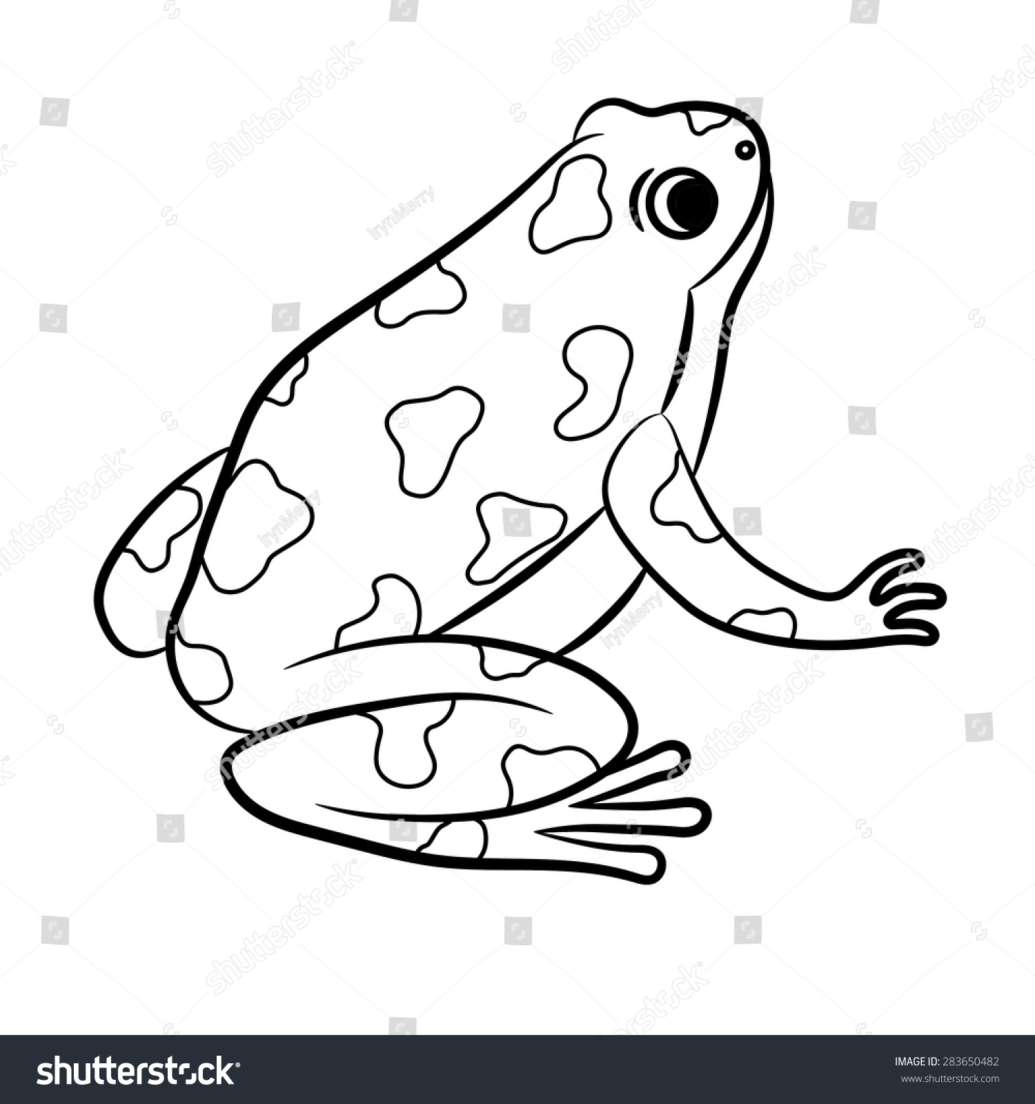 spotted frog outline drawing, black and white clip art preview