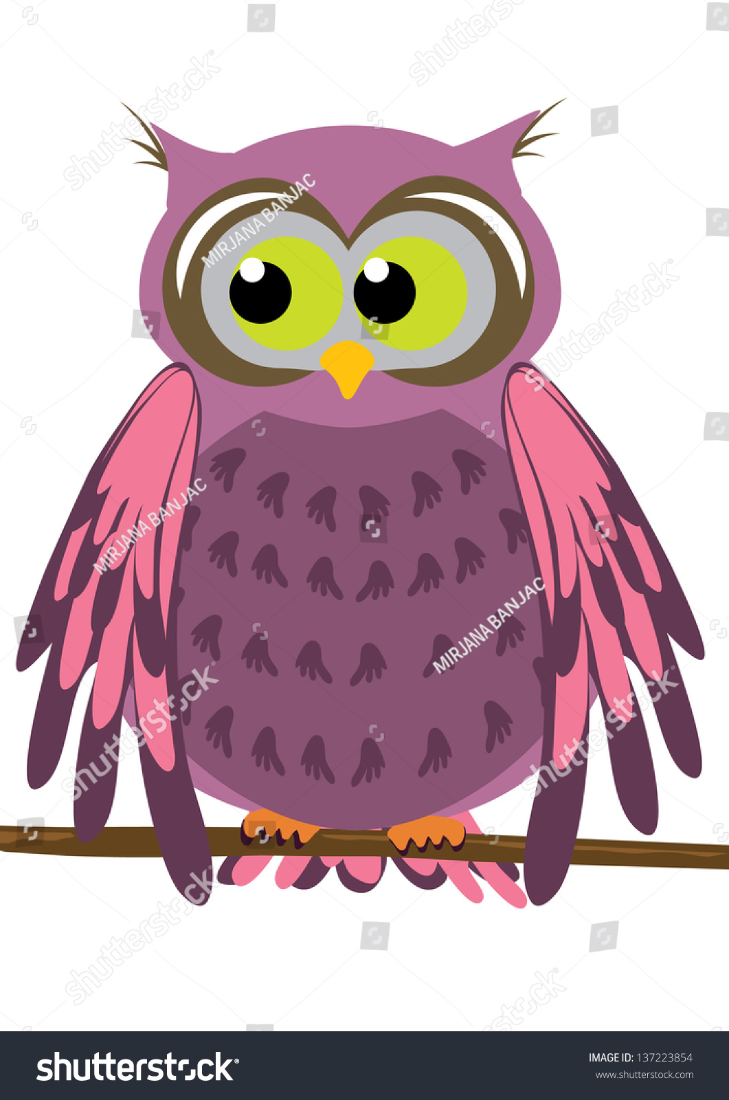 Owl On A Branch Stock Vector Illustration 137223854 : Shutterstock