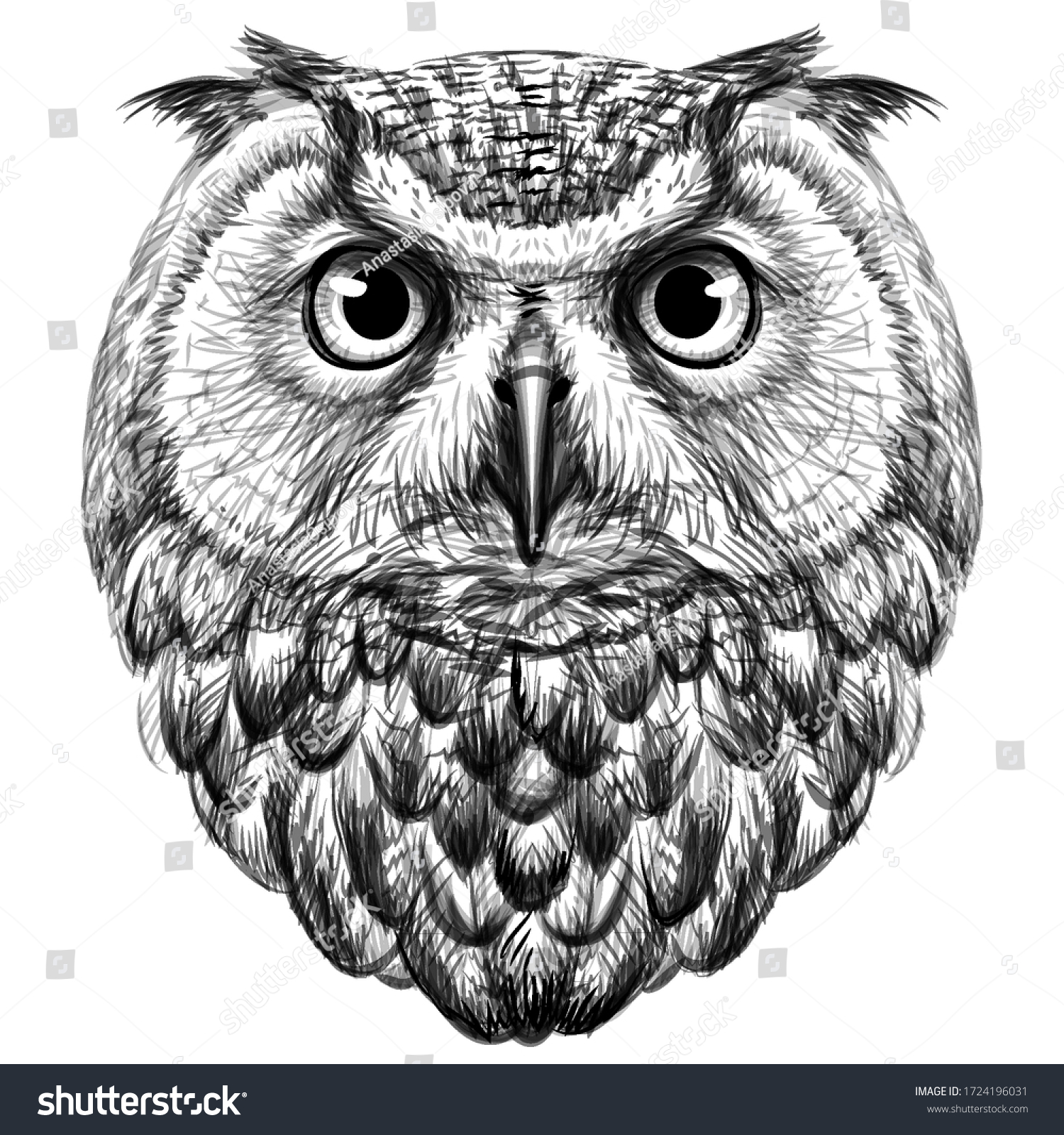 27,265 Sketch owl Images, Stock Photos & Vectors | Shutterstock