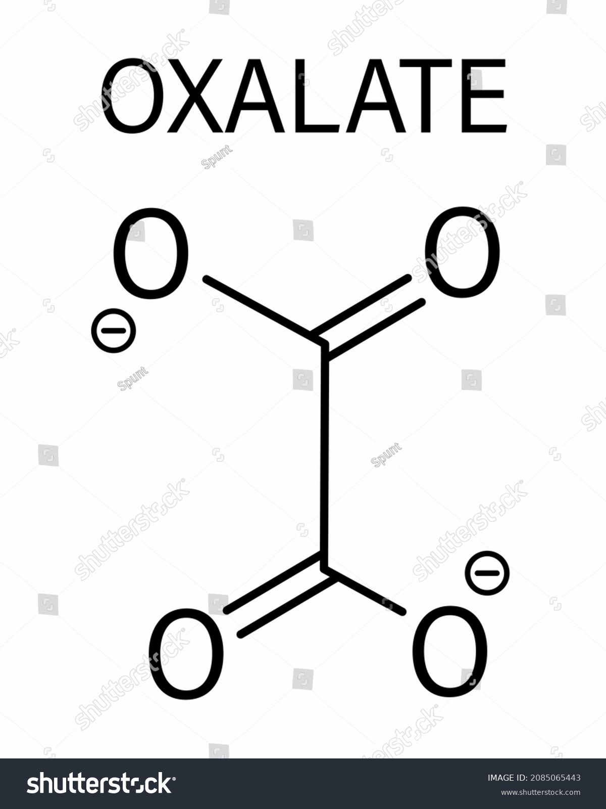 Oxalate Anion Chemical Structure Oxalate Salts Stock Vector (Royalty