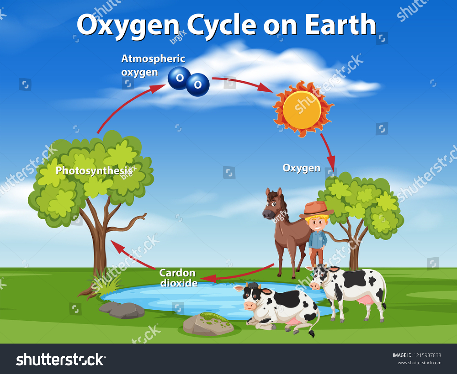 SVG of Oxygen cycle on earth  illustration svg