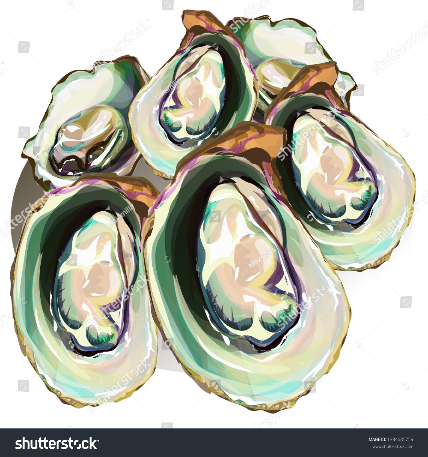 Oysters Oyster Shell Vector Set Hand Stock Vector Royalty Free 1384685759