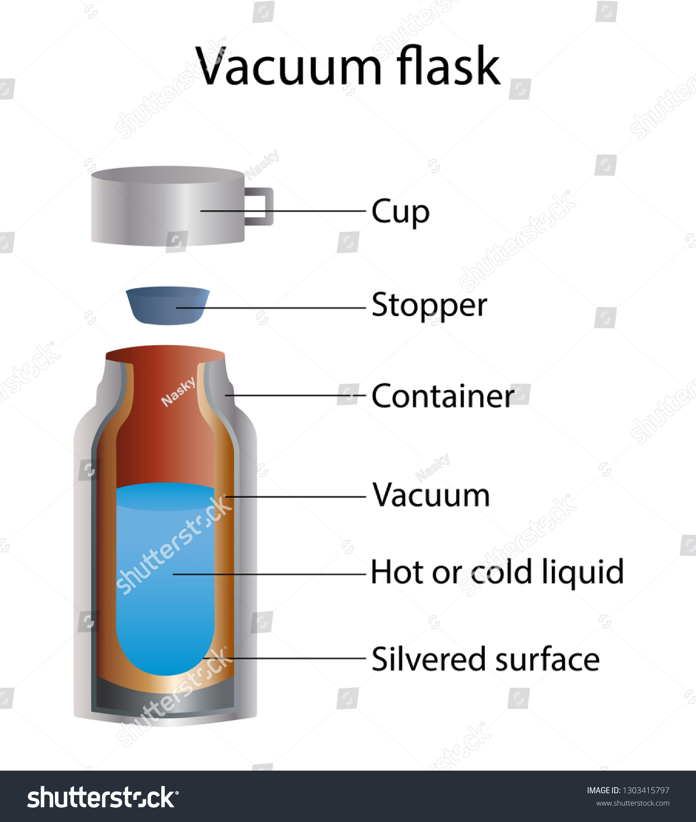 Dewar or vacuum flask fully diagram Royalty Free Vector