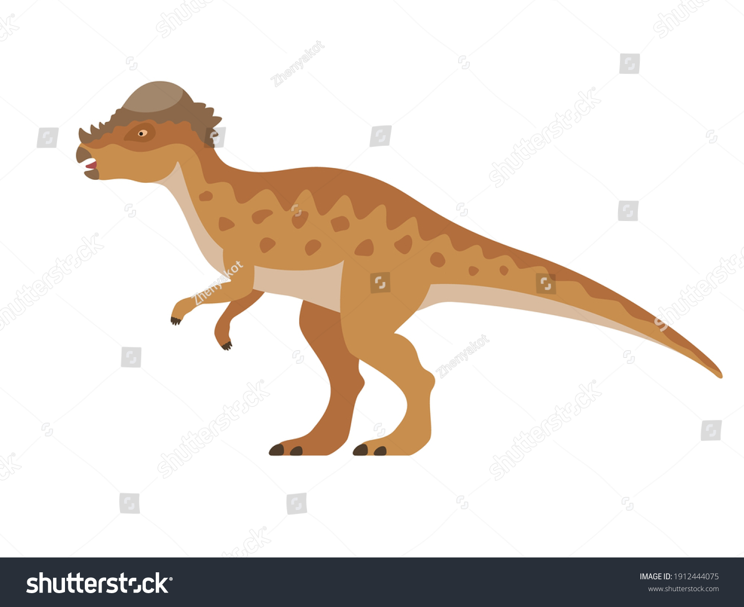 Pachycephalosaurus Dinosaur Vector Illustration Prehistoric Dinosaur Stock Vector Royalty Free 9665