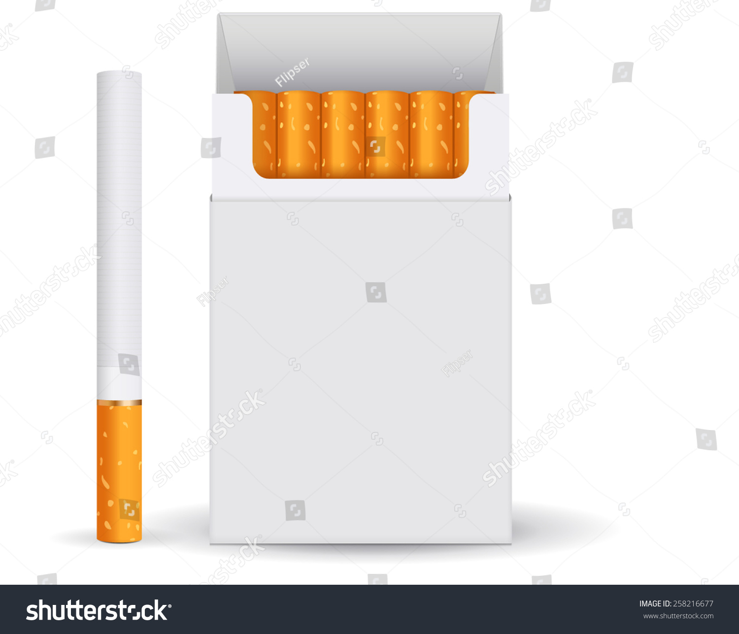 Pack Cigarettes White Blank Box Cigarette Stock Vector 258216677 ...