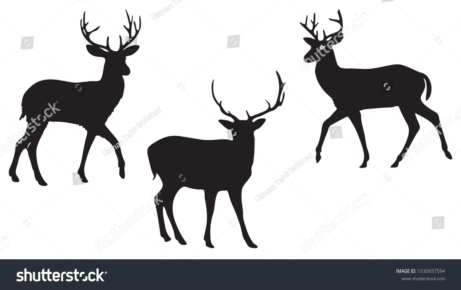 276 Chital deer Stock Vectors, Images & Vector Art | Shutterstock