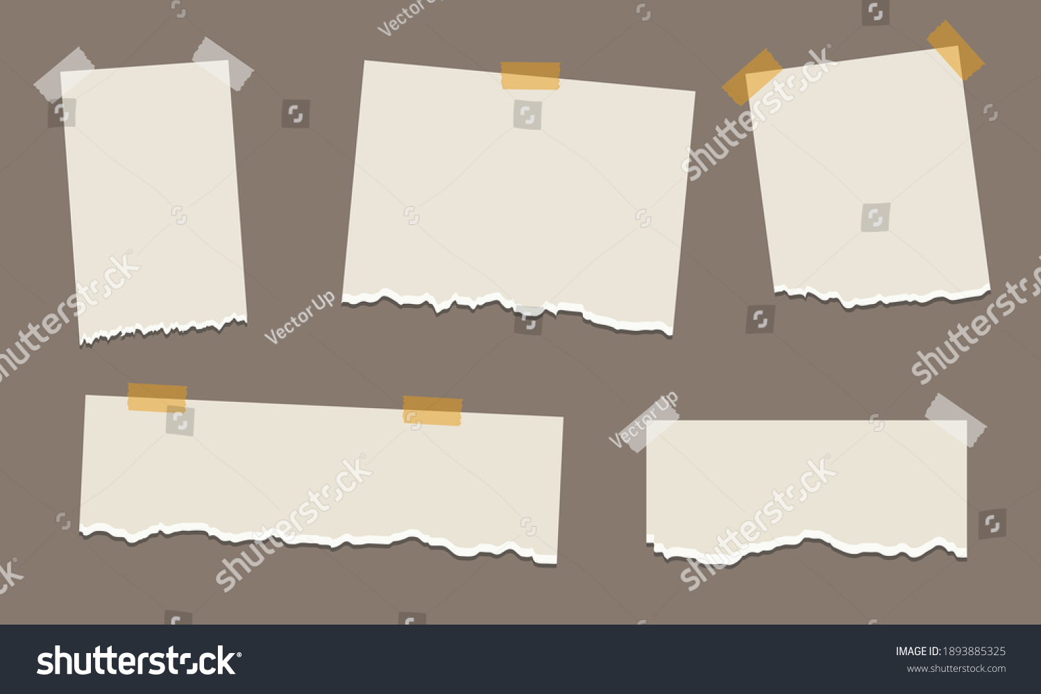 Pack Torn Paper Various Shapes Plaster Stock Vector (Royalty Free ...