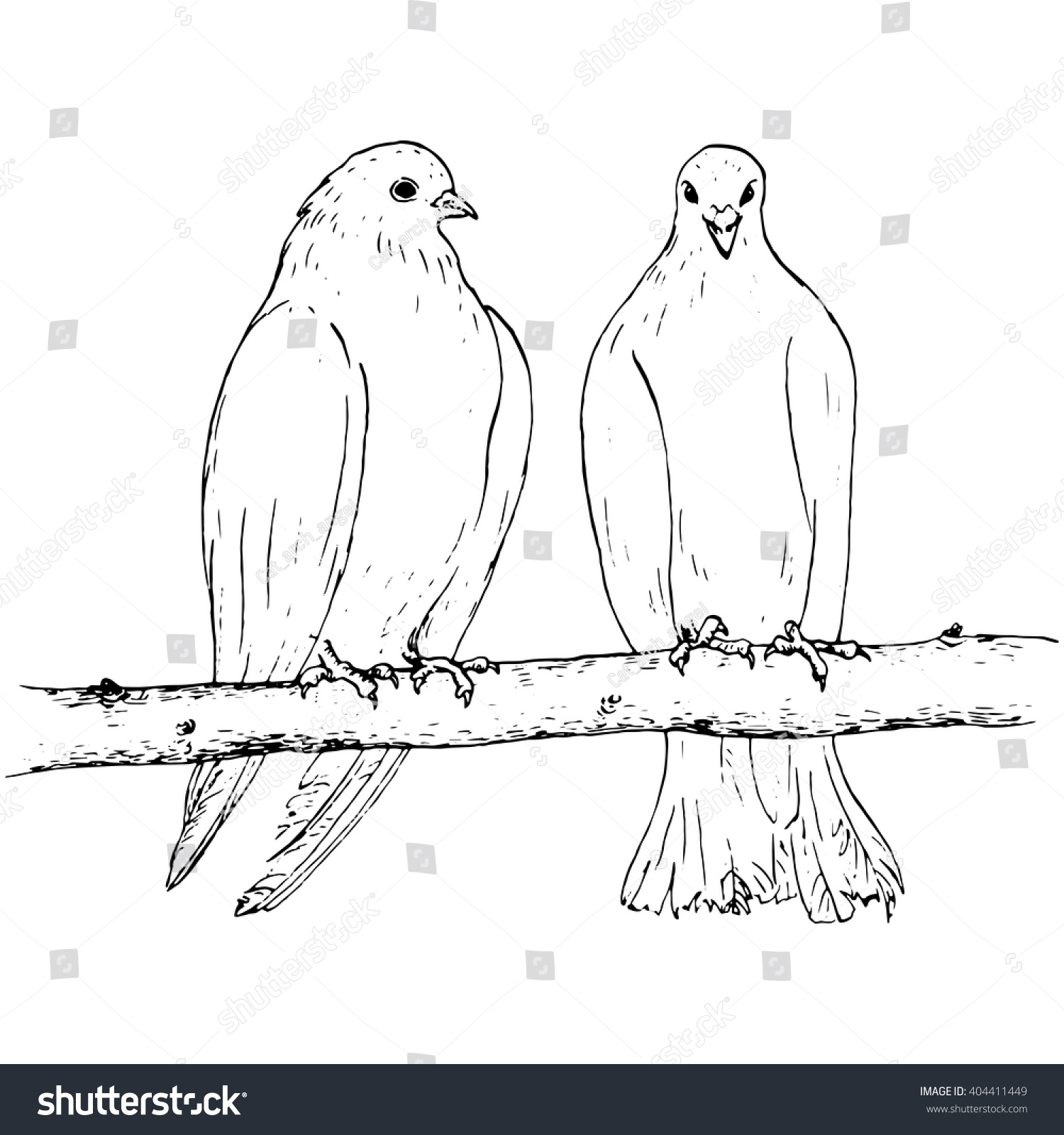 Pair Pigeons Sitting On Branch Two Stock Vector 404411449 - Shutterstock