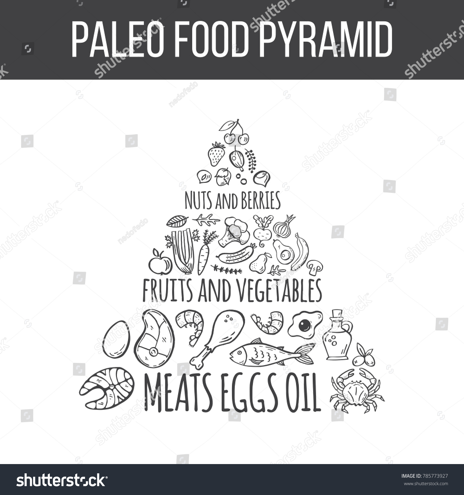 Paleo Food Pyramid Vector Handdrawn Illustration Stock Vektorgrafik Lizenzfrei 785773927