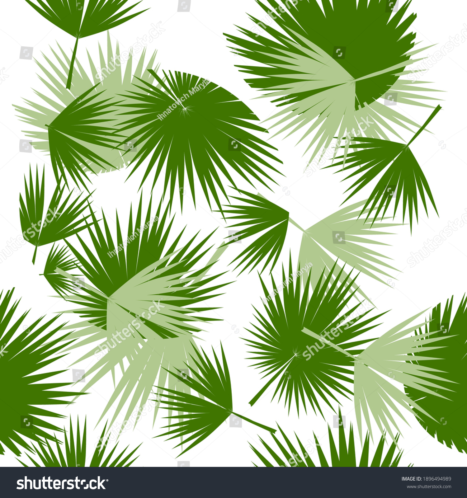 1,328,788 Palm with white background Images, Stock Photos & Vectors ...