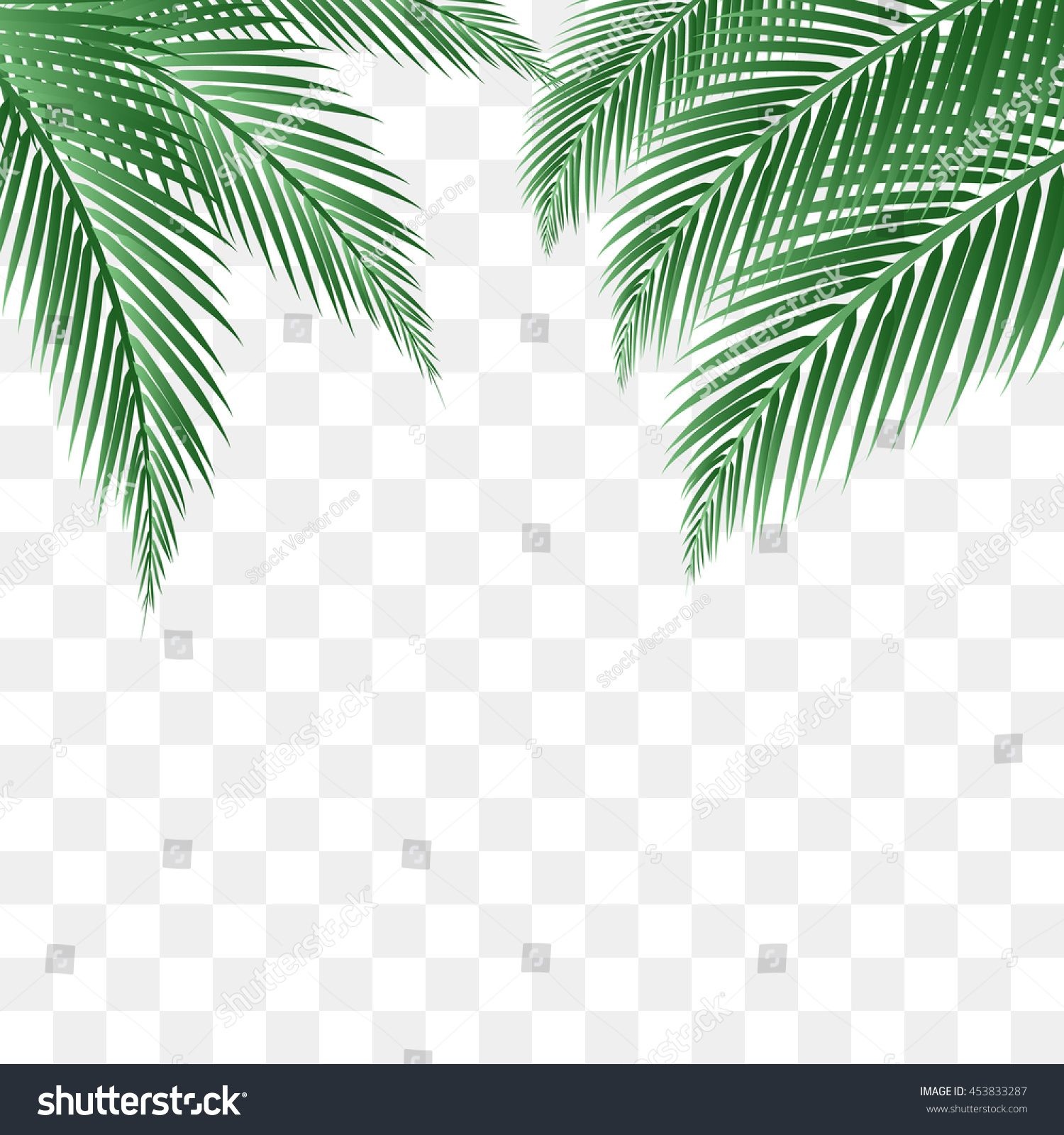 Palm Leaves Vector Background Stock Vector 453833287 - Shutterstock