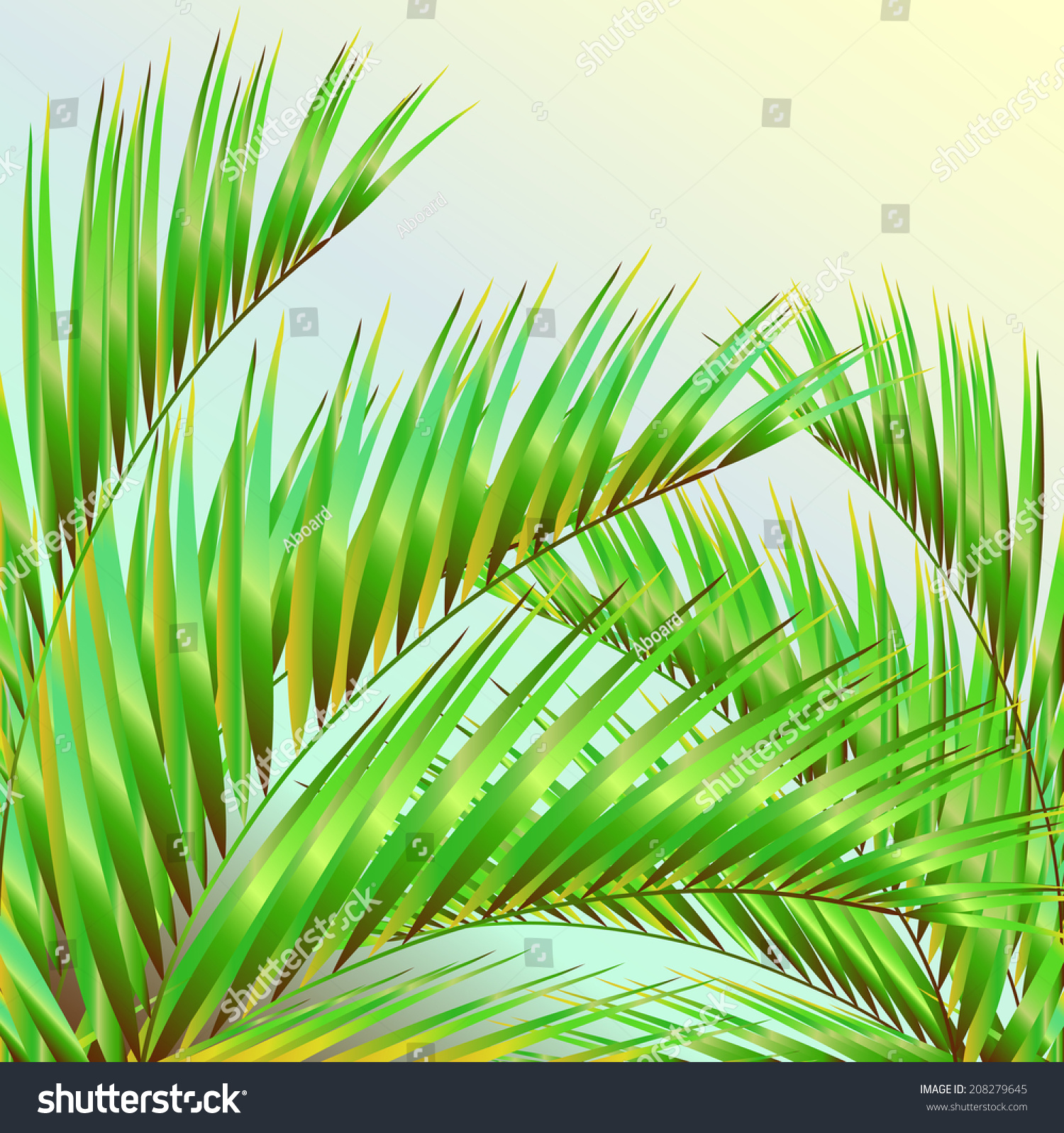 Palm Tree, Stock Vector 208279645 : Shutterstock