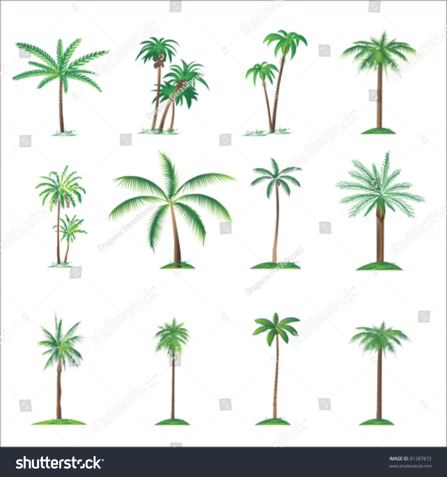 Palm Tree Collection, Isolated On White, Vector - 81287872 : Shutterstock