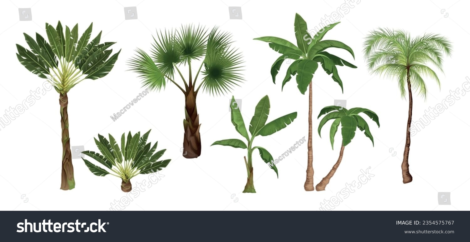 SVG of Palm tree set with isolated images of exotic tropical trees of different types on blank background vector illustration svg