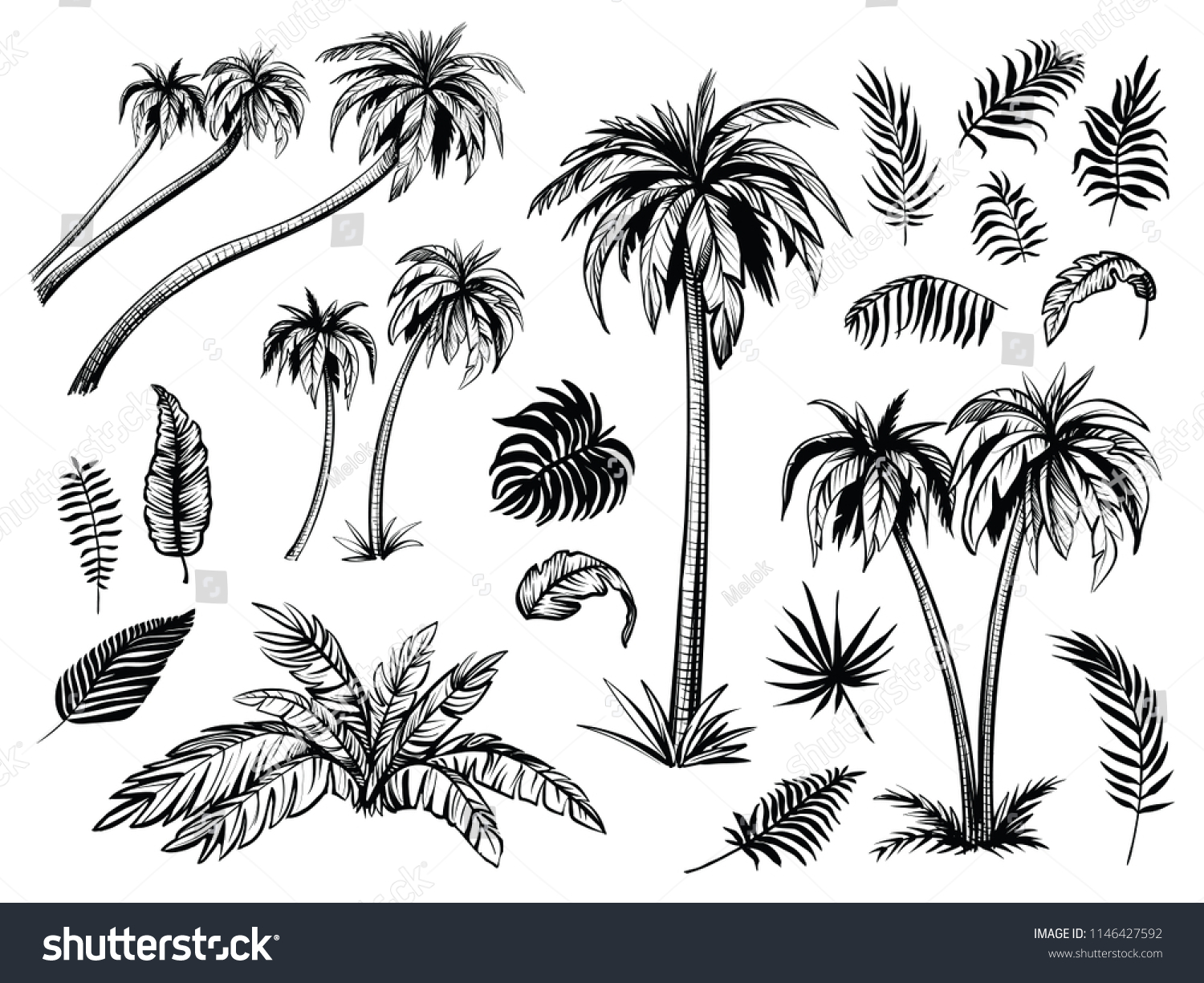 118,273 Palm sketch Images, Stock Photos & Vectors | Shutterstock