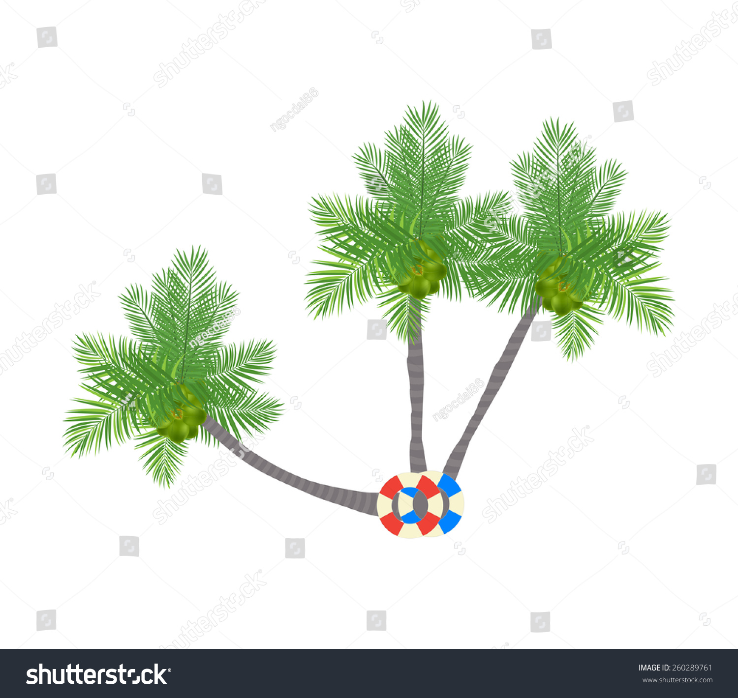 Palm Trees Collection Stock Vector Illustration 260289761 : Shutterstock