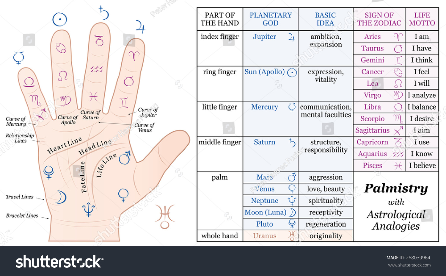 Palmistry Astrology Analogy Chart Accurate Description Stock ...