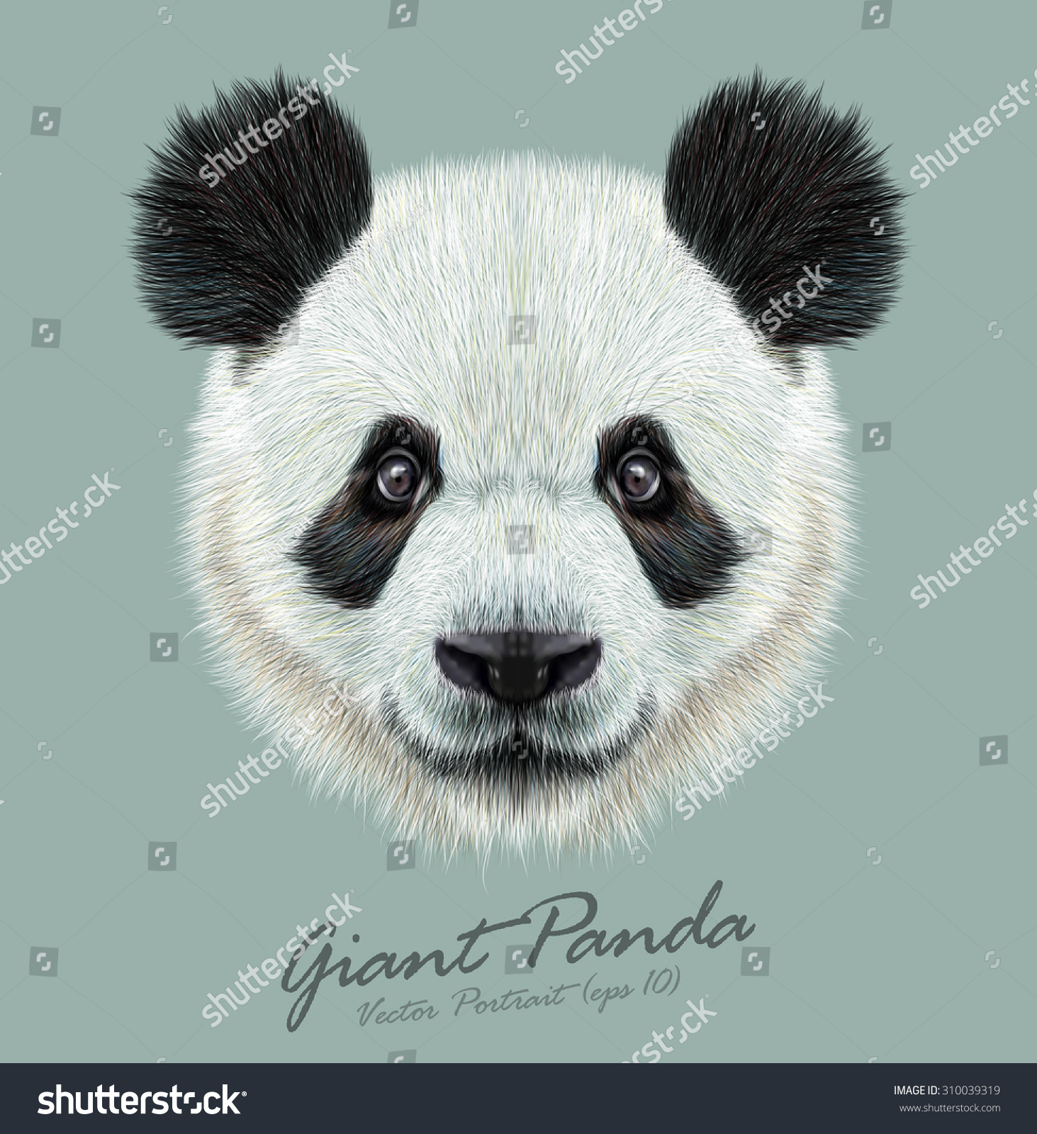 SVG of Panda animal cute face. Vector Asian panda bear head portrait. Realistic fur portrait of bamboo funny black and white panda animal isolated on blue background. svg