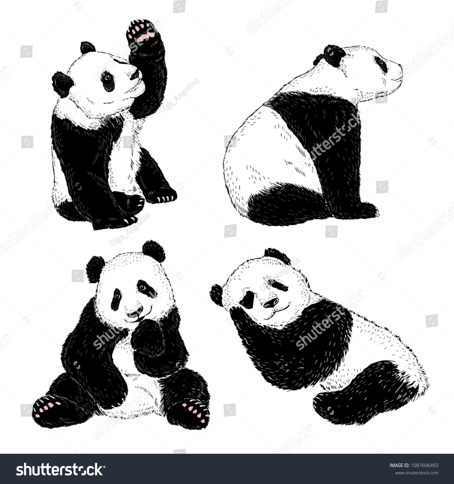Panda Illustrations Set Stock Vector (Royalty Free) 1087606493