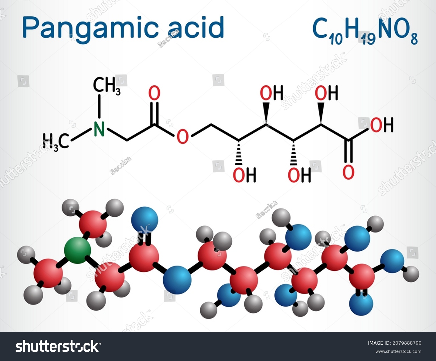 Pangamic Acid Pangamate Molecule Vitamin B15 Stock Vector (Royalty Free ...