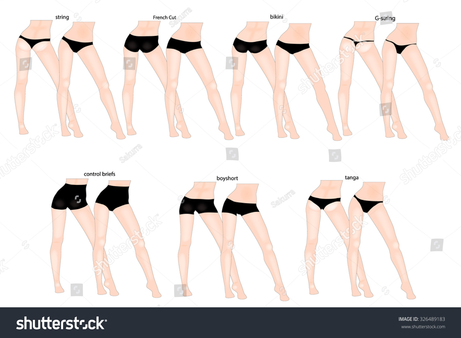 Panty Styles Vector Set Female Underwear Stock Vector 326489183 ...