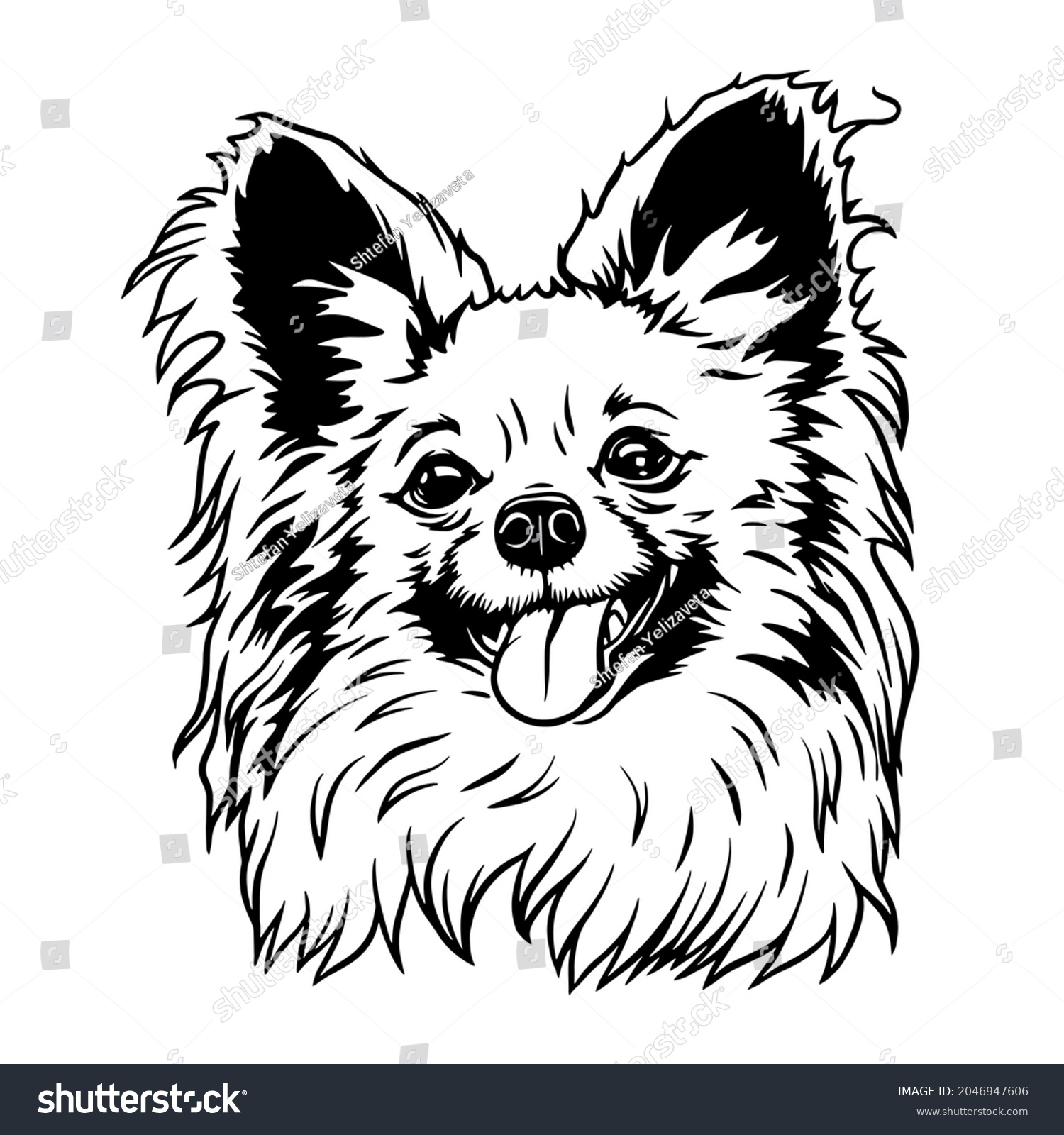 SVG of Papillon svg. Peeking Dog Cut File Svg . Papillon head isolated on white. Vector illustration for cutting and printing for t shirt clipart svg