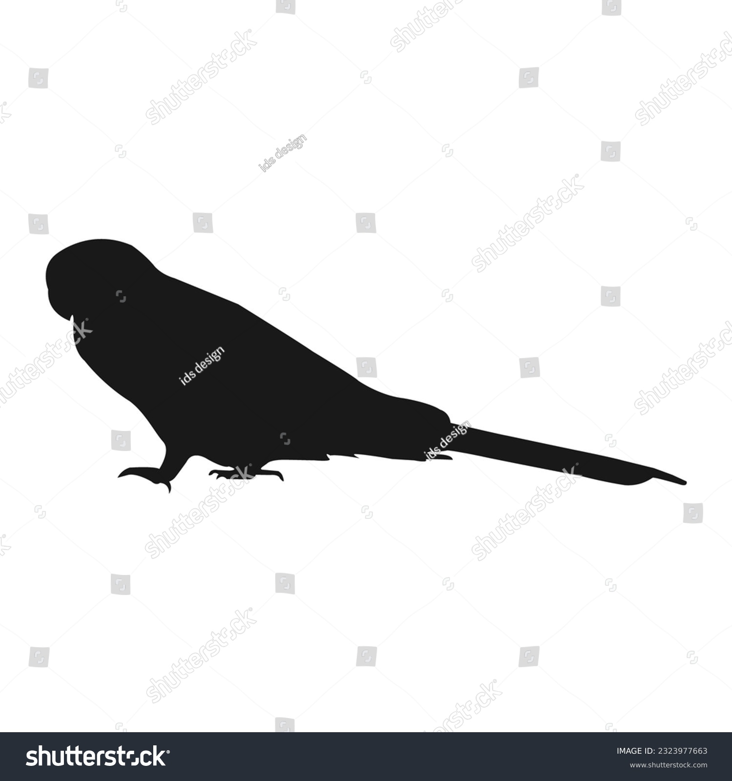 SVG of parakeet bird icon vektor illustration design svg
