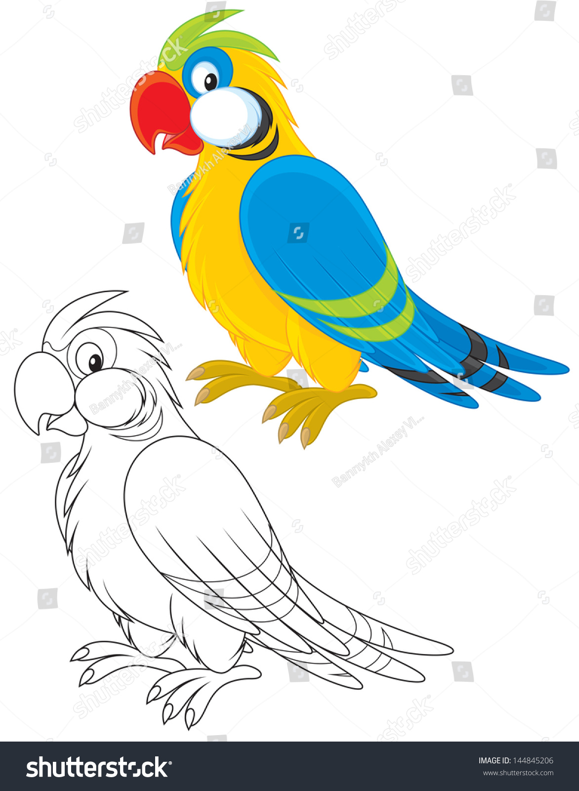 Parrot Stock Vector Illustration 144845206 : Shutterstock