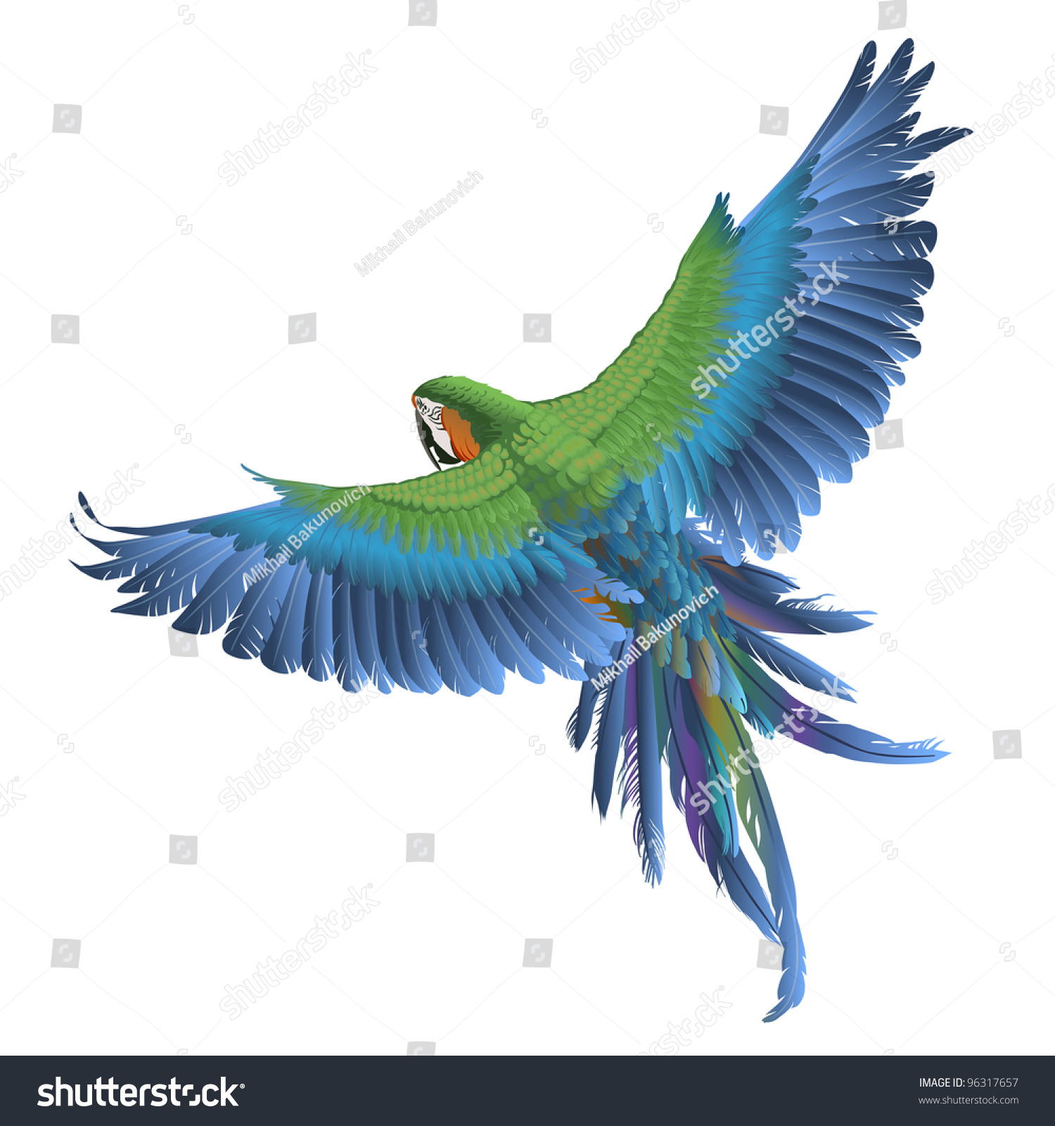 Parrot Stock Vector Illustration 96317657 : Shutterstock