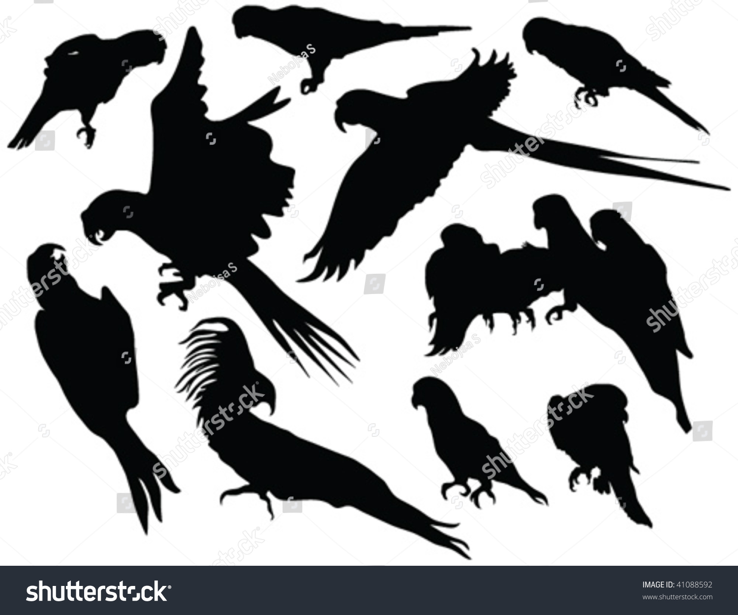 parrot silhouettes vector stock vector royalty free 41088592 https www shutterstock com image vector parrot silhouettes vector 41088592