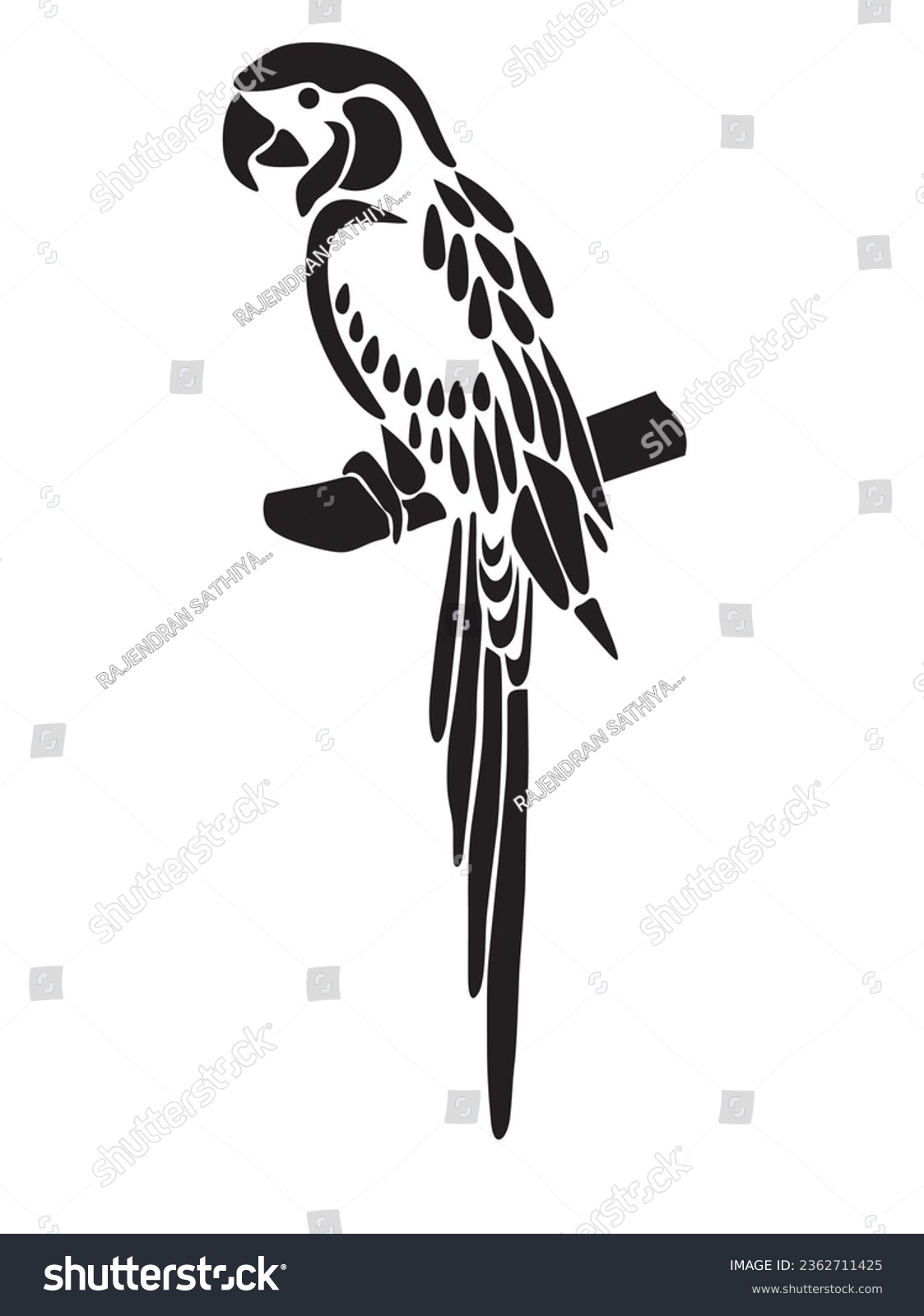 SVG of Parrot vector illustration. Isolated parrot on white background. svg