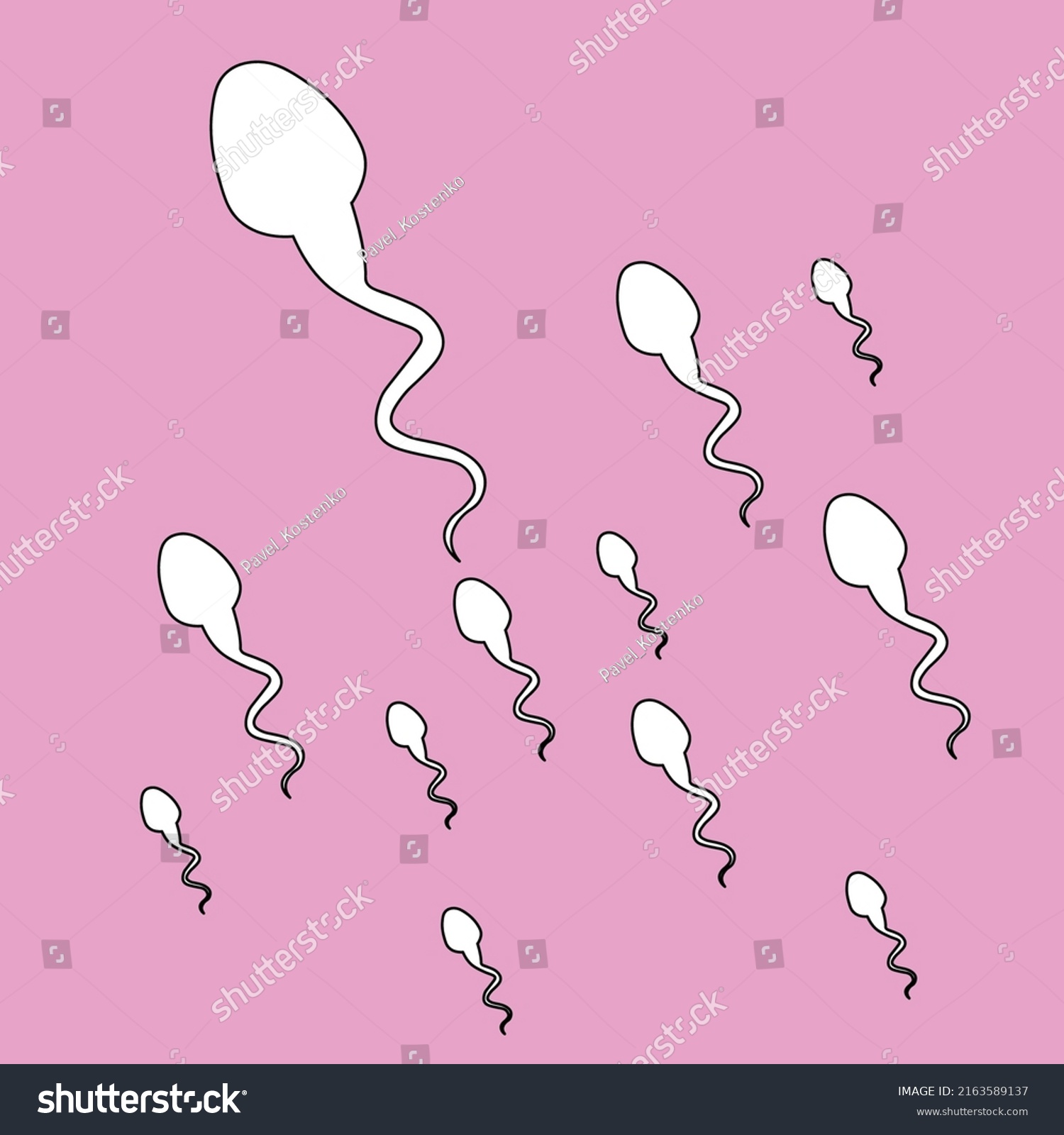 Pattern Group Cartoon Hand Drawn Spermatozoa Stock Vector (royalty Free 