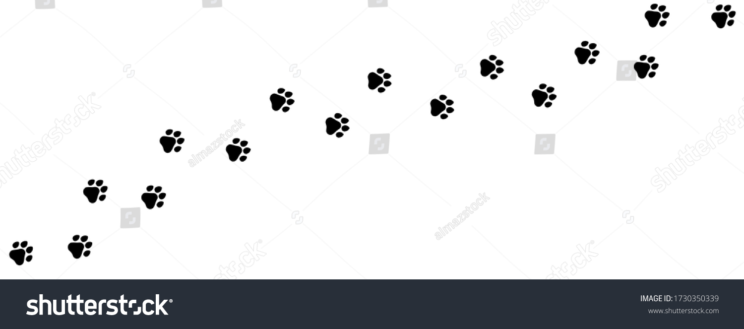 12,206 Footsteps dog Images, Stock Photos & Vectors | Shutterstock