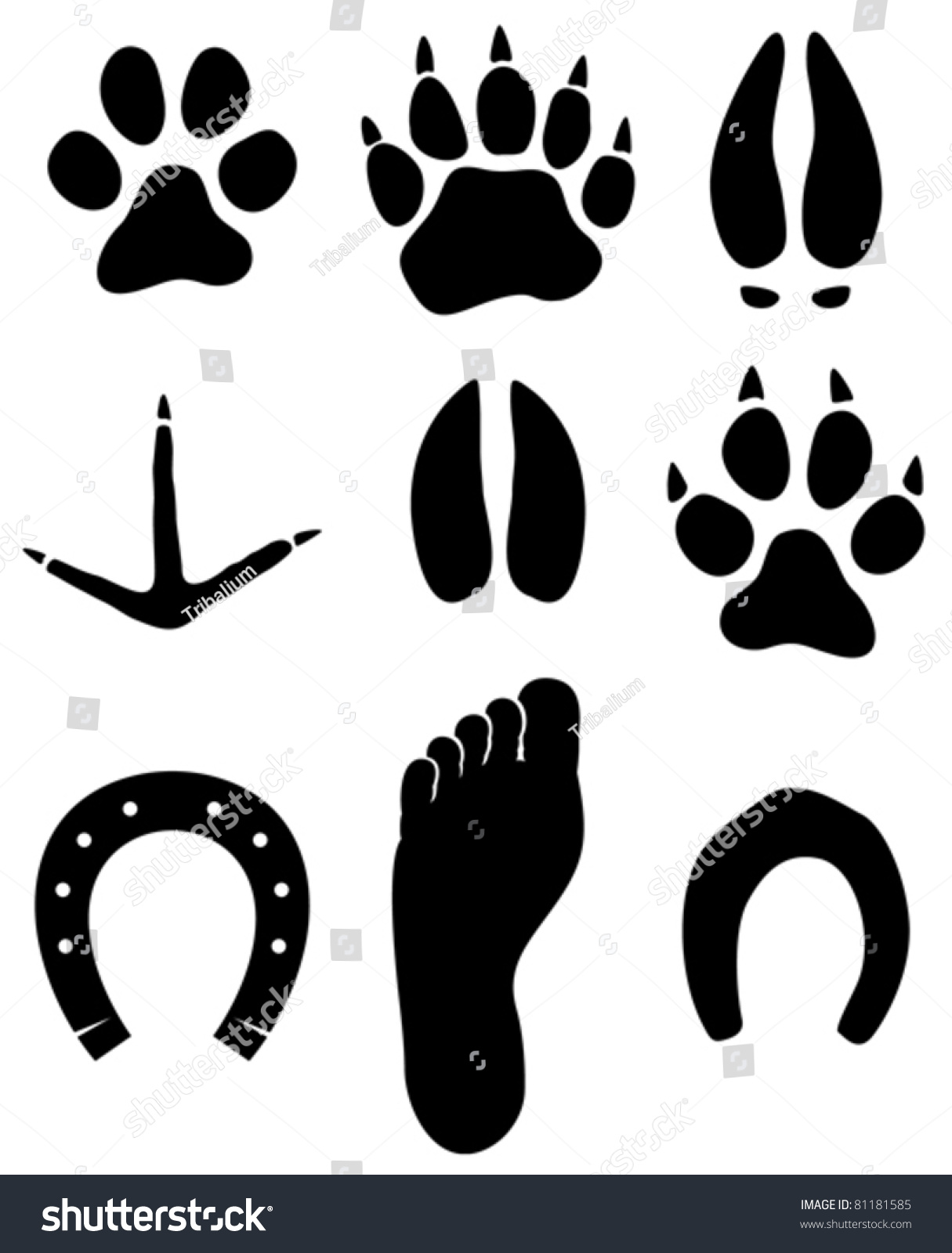 SVG of paw prints svg