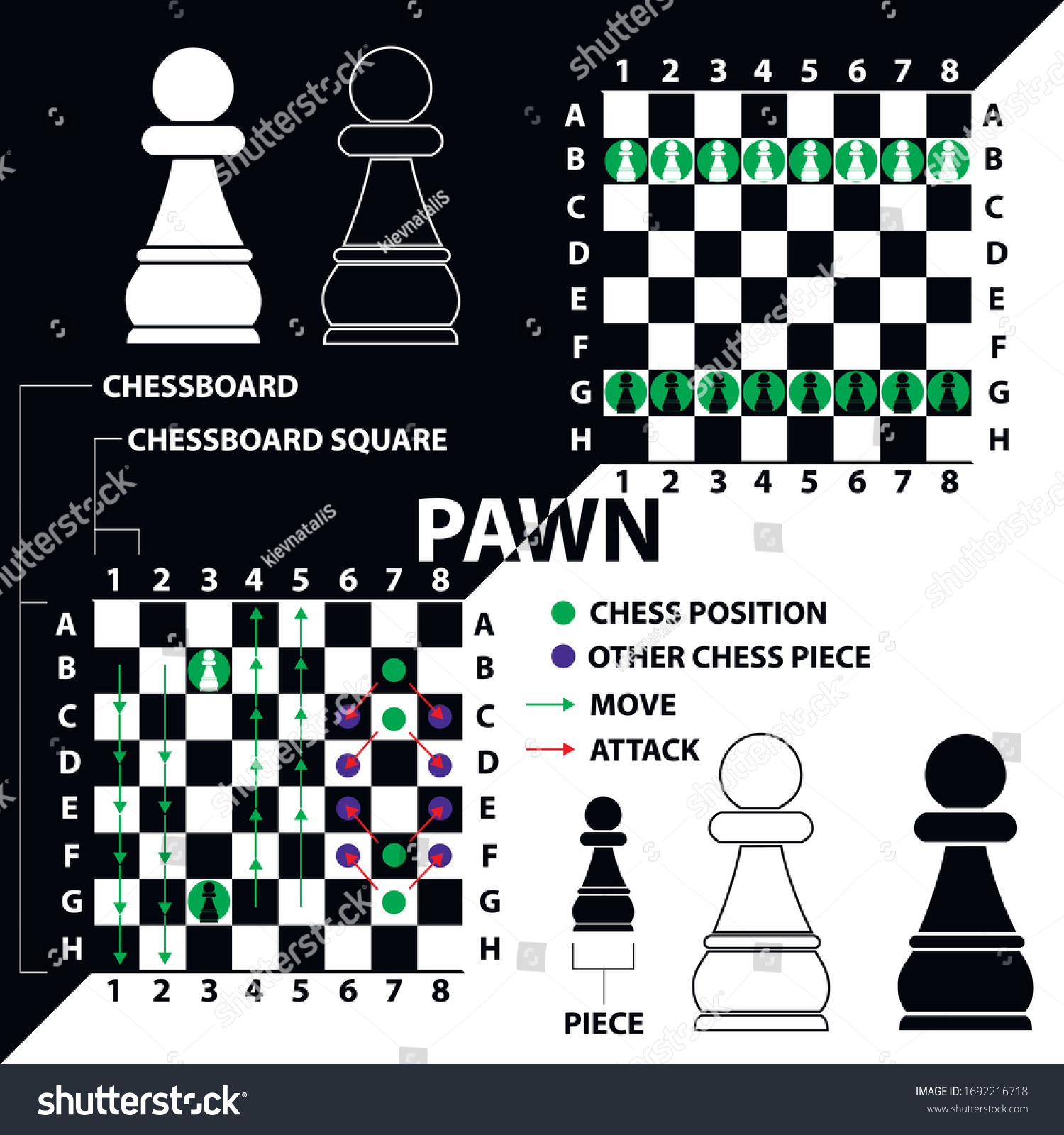 ポーン イラストやアイコンの形で作られたチェスの駒 チェスボード上の位置と移動の説明を含む白黒のポーン 初級チェス選手用の教材 のベクター画像素材 ロイヤリティフリー