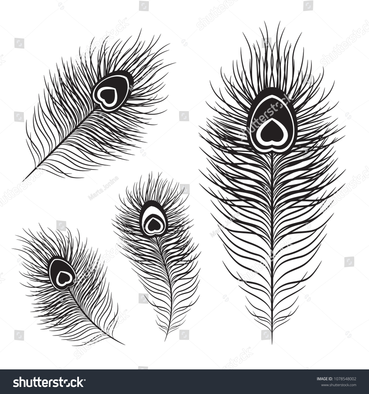 Peacock Feather Set Different Shapes Stock Vector (Royalty Free) 1078548002