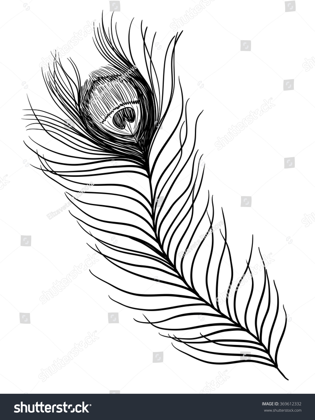 Peacock Feather Vector Black White Illustration Stock Vector (Royalty ...