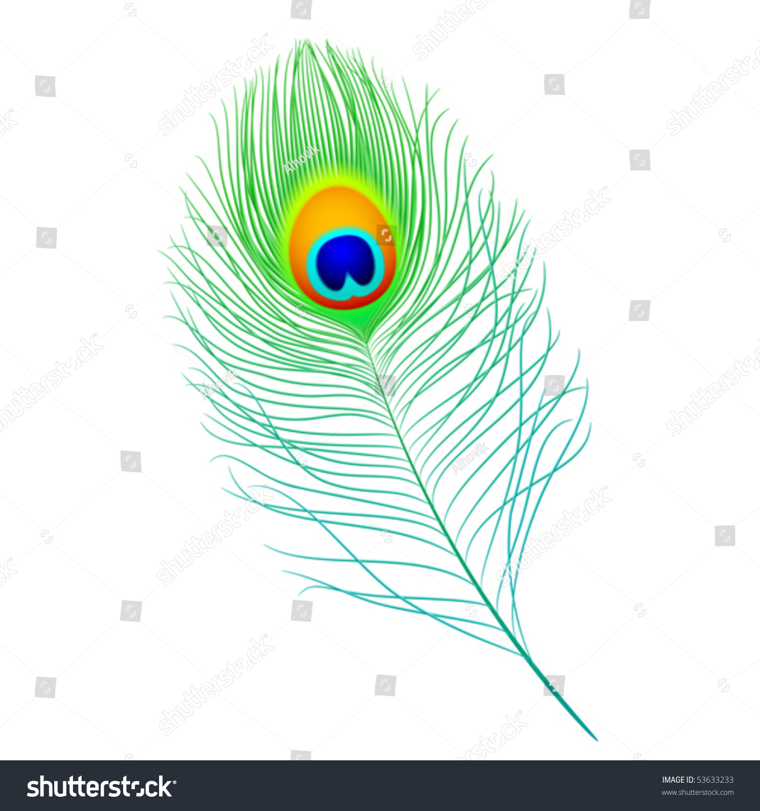 Peacock Feather. Vector. Detailed Portrayal. - 53633233 : Shutterstock