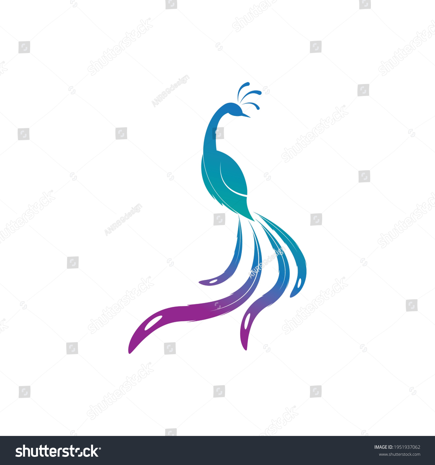 Peacock Logo Design Vector Template Peacock Stock Vector (Royalty Free ...