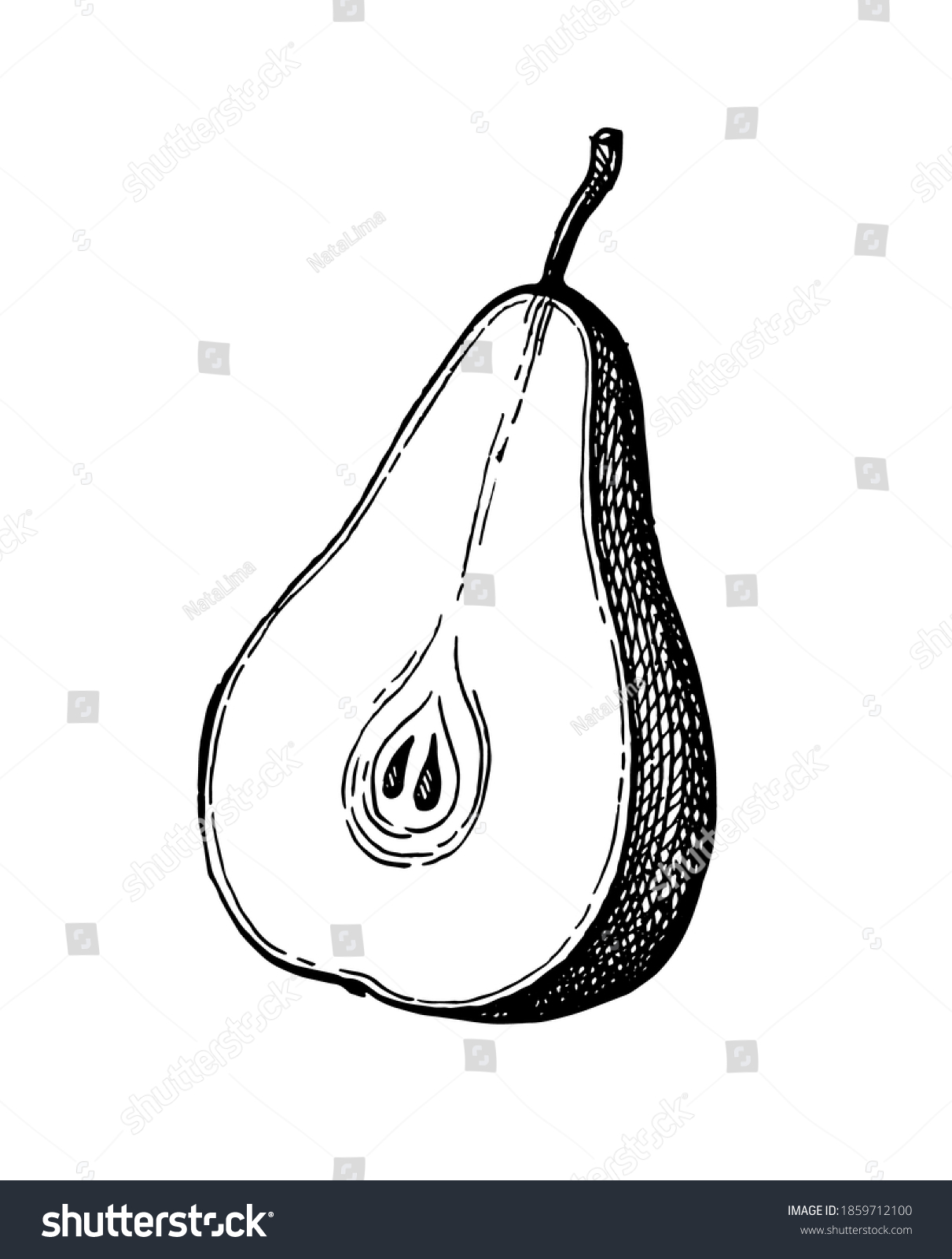 Pear Cut Half Ink Sketch Isolated Stock Vector (Royalty Free ...